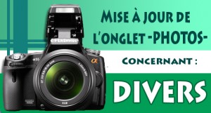 Photo mise a jour Photo DIVERS - Copie copie