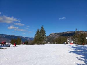 SF-Villars-de-Lans-8.02.2023-13